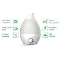 Ultrasonic Humidifier Fogger for  Office Shop and Home decoration