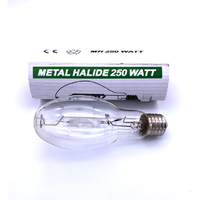 MH 250w ELLIPTICAL LAMP